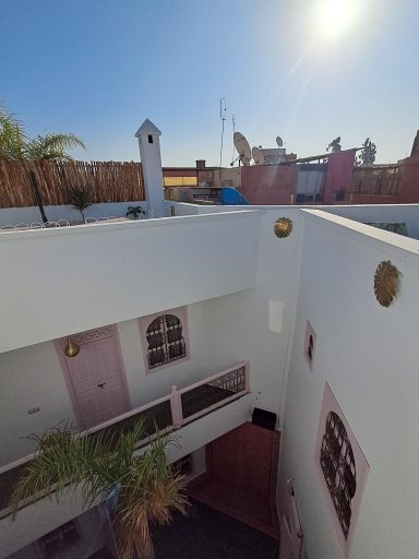 Vue d'un patio ensoleillé avec des murs blancs et des détails colorés. Palmier visible.